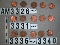 藏品(美國1分硬幣)的圖片